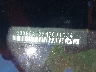 5XXG64J25NG****** Repairable 2022 Kia K5