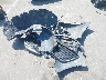 4T1B11HK8JU****** Wrecked 2018 Toyota Camry in North Carolina State