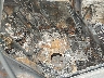 2T3P1RFV6MC****** Wrecked 2021 Toyota RAV4 in Templeton
