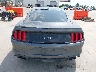 1FA6P8CF8K5****** Destrozados 2019 Ford Mustang