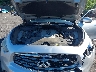 JNRAS18W09M****** Repairable 2009 Infiniti FX35 in Scranton
