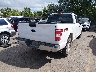1FTFX1E50LK****** Salvage and Wrecked 2020 Ford F-150 in Colorado State
