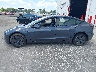 5YJ3E1EA1PF****** Reparables 2023 Tesla Model 3 en Estado de Florida