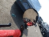 MLHJC7517L5****** Destrozados 2020 Honda Grom en Rec Rides Online Exclusive