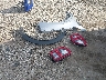 3FMCR9A60NR****** Wrecked 2022 Ford Bronco Sport in Indiana State