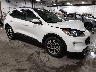 1FMCU9H6XLU****** Salvamento y Destrozados 2020 Ford Escape en Des Moines