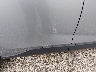 2T3P1RFV5MC****** Usados y Reparables 2021 Toyota RAV4 en Lincoln