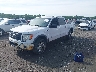 1FTFW1EV8AF****** Used and Repairable 2010 Ford F-150 in Elkton