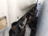JALC4B1K4N7****** Used 1992 Isuzu NPR in Specialty Division