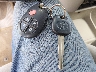 5TDKZ3DC4HS****** Salvage 2017 Toyota Sienna in West Virginia State