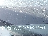 5YJ3E1EA5JF****** Used and Repairable 2018 Tesla Model 3 in Dallas