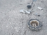 KNALD124655****** Wrecked 2005 Kia Amanti in Illinois State