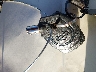 1HD1KB71XRB****** Salvage 2024 Harley-Davidson FLHXS in Arizona State