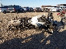 1HD1KB71XRB****** Salvage and Wrecked 2024 Harley-Davidson FLHXS in Rec Rides Online Exclusive
