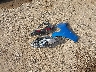 3KPF54AD6NE****** Wrecked 2022 Kia Forte in California State