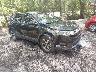 7FARW1H8XJE****** Salvage and Wrecked 2018 Honda CR-V in Suffolk