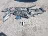 WA1CFAFP4FA****** Wrecked 2015 Audi Q5 in Arizona State