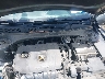 3KPF24AD7ME****** Reparables 2021 Kia Forte en Houston