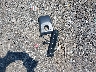 5TDDZRFH1HS****** Wrecked 2017 Toyota Highlander in Virginia State