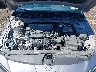 KMHLM4DG1SU****** Repairable 2025 Hyundai Elantra in Buffalo