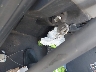 3AKJHHDR3PS****** Repairable 2023 Freightliner Cascadia in Specialty Division