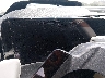 5LM5J7WC3SG****** Salvage 2025 Lincoln Aviator in Jackson
