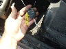 1FADP3K24JL****** Salvage 2018 Ford Focus in Colorado State