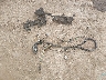 2G1FB1EV2A9****** Wrecked 2010 Chevrolet Camaro in Oklahoma State