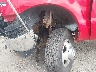 1FTWX33LXXE****** Salvamento y Reparables 1999 Ford F-350 en Estado de Massachusetts