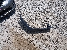 1C4HJXDG0PW****** Wrecked 2023 Jeep Wrangler in Ohio State