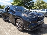 5TDKDRBH3RS****** Salvamento y Destrozados 2024 Toyota Highlander en Englishtown