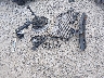 3VW3L7AJ2DM****** Wrecked 2013 Volkswagen Jetta in Ohio State