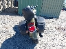 1HD1YAJ17JC****** Salvage and Repairable 2018 Harley-Davidson Flhc in Virginia State