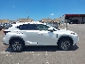 JTJYARBZ5F2****** Usados 2015 Lexus NX en Estado de Hawaii