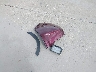 7FARW1H81JE****** Wrecked 2018 Honda CR-V in Texas State