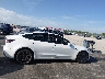 5YJ3E1EA3RF****** Destrozados 2024 Tesla Model 3 en Estado de Florida