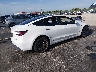 5YJ3E1EA3RF****** Salvamento y Destrozados 2024 Tesla Model 3 en Estado de Florida