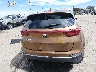 KNDPNCACXL7****** Wrecked 2020 Kia Sportage