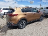 KNDPNCACXL7****** Salvage and Wrecked 2020 Kia Sportage in New Mexico State