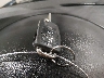 WVGBV7AX0HK****** Salvage 2017 Volkswagen Tiguan in Iowa State