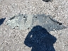 KM8K23AG7PU****** Wrecked 2023 Hyundai Kona in Maryland State