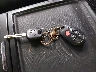 5TDXK3DC1FS****** Salvamento 2015 Toyota Sienna en Estado de Minnesota