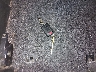 ML32A5HJ3LH****** Salvage 2020 Mitsubishi Mirage in Tennessee State