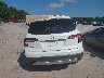 5FNYF5H50MB****** Destrozados 2021 Honda Pilot