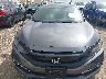 2HGFC3B37LH****** Salvage 2020 Honda Civic in Texas State