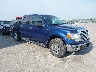 1FTFW1EV1AK****** Salvamento y Destrozados 2010 Ford F-150 en Omaha South