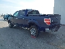 1FTFW1EV1AK****** Salvamento y Reparables 2010 Ford F-150 en Omaha South