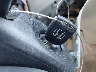 5FNRL38489B****** Salvage 2009 Honda Odyssey in Florida State