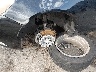 2G4GS5EV9D9****** Salvamento y Reparables 2013 Buick Regal en Estado de Oklahoma