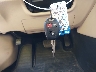4T1BF1FK4DU****** Salvamento 2013 Toyota Camry en Estado de Maryland